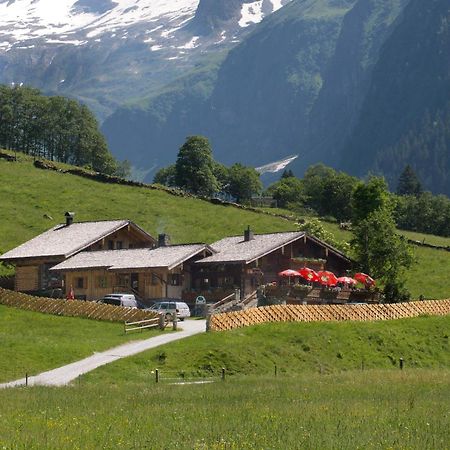Senninger Alm Bed and Breakfast Hollersbach im Pinzgau Εξωτερικό φωτογραφία