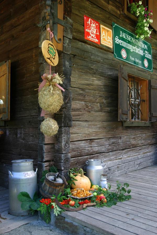 Senninger Alm Bed and Breakfast Hollersbach im Pinzgau Εξωτερικό φωτογραφία