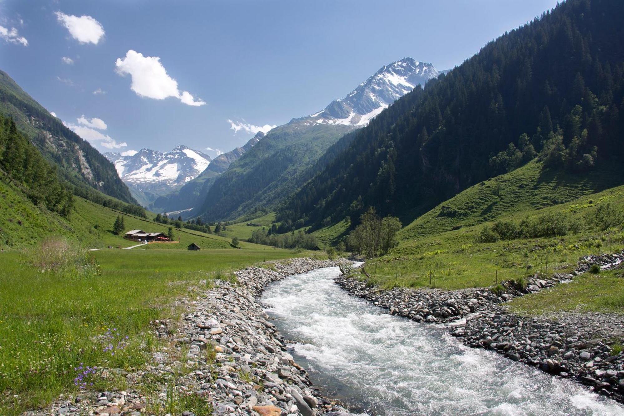 Senninger Alm Bed and Breakfast Hollersbach im Pinzgau Εξωτερικό φωτογραφία