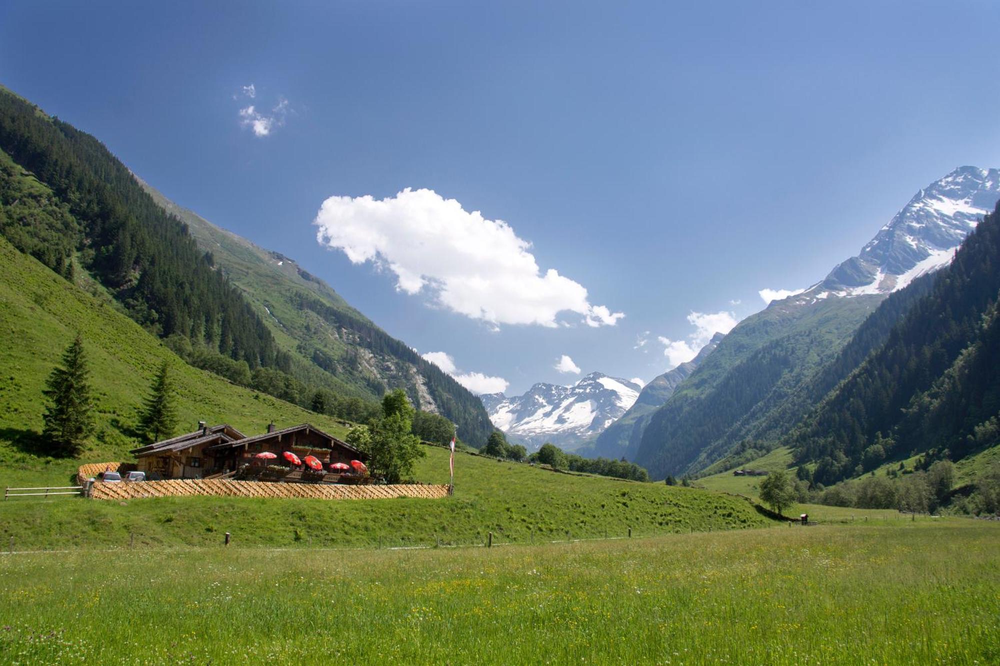Senninger Alm Bed and Breakfast Hollersbach im Pinzgau Εξωτερικό φωτογραφία
